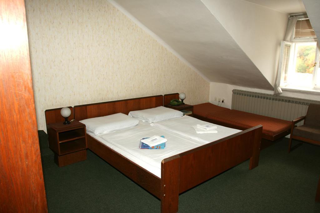 Hotel Michle 布拉格 客房 照片